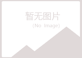 河间字迹咨询有限公司